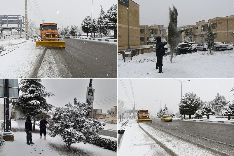 برف روبی خیابان ها و برف تکانی درختان از ساعات اولیه صبح در یاسوج/ عکس