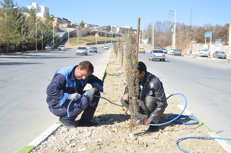 اجرای سیستم آبیاری قطره ای در شهر یاسوج