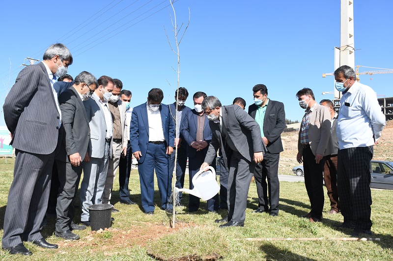 شهردار و اعضای شورای شهر دست بکار شدند/ آغاز کاشت 2 هزار درخت در شهر یاسوج / تصاویر