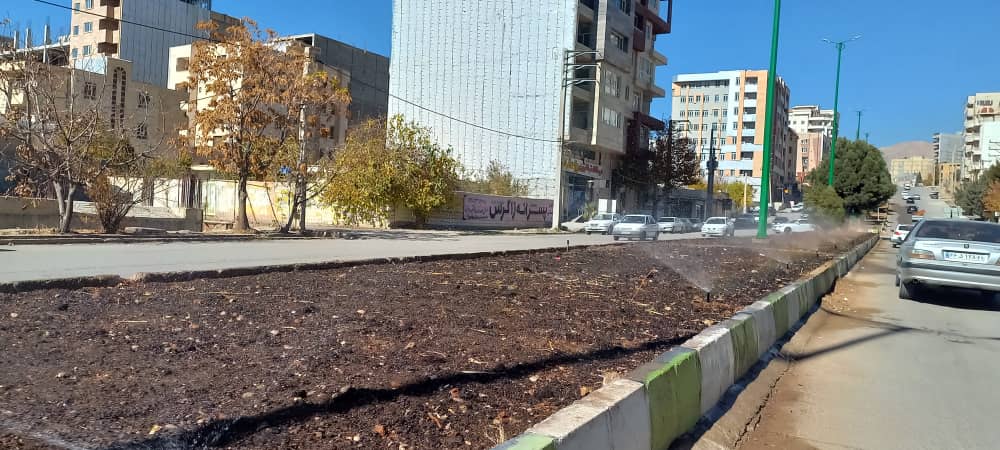 آغاز طرح گسترده فرم‌دهی درختان و چمن‌کاری بلوارهای یاسوج